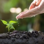 Why Personal Growth Matters Now More Than Ever