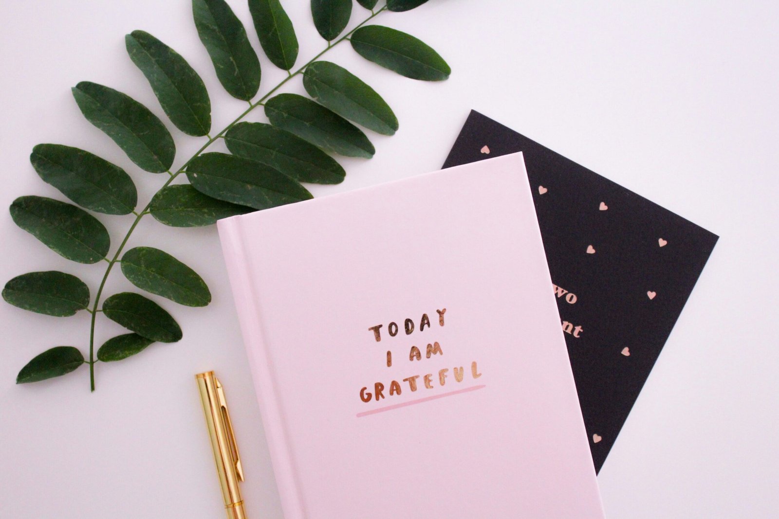 how to write a gratitude journal