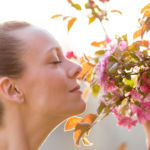10 Grooming Tips for Women Beauty