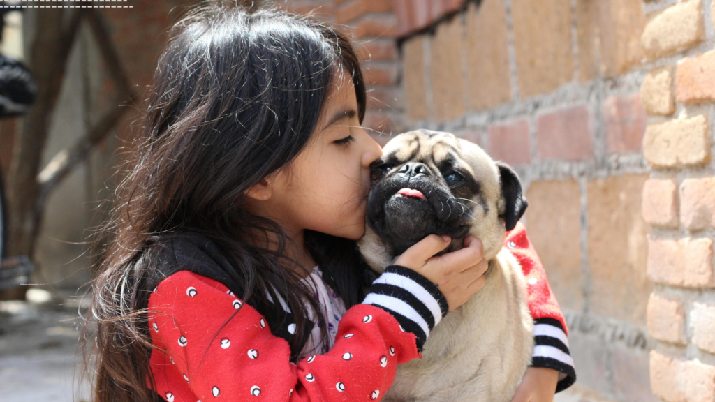 30 Leave Things Better Than You Found Them Quotes