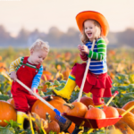 205 Fun Fall Bucket List for Kids to Try This Autumn